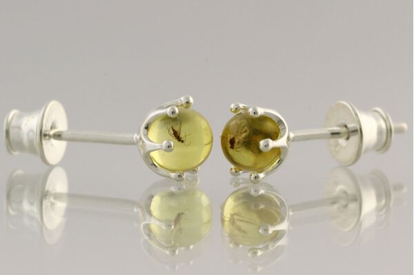 Fossil Studs Baltic amber Silver Earrings