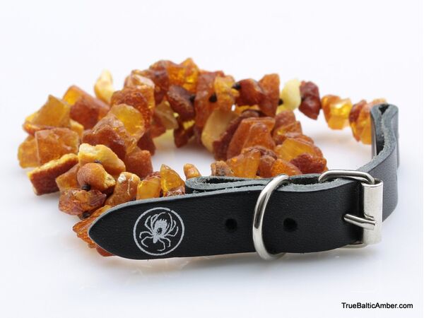 Baltic amber - unique tick repellant for Pets