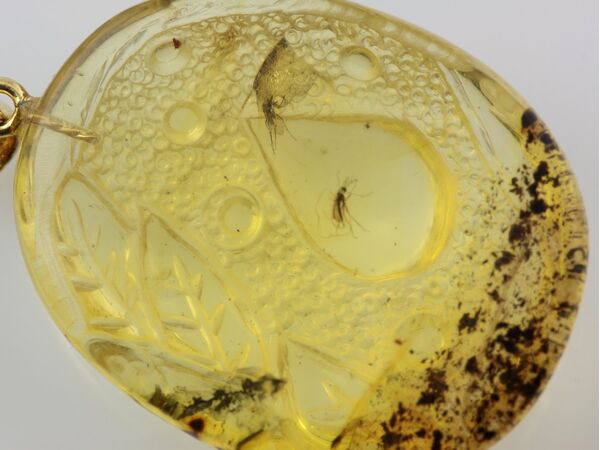 Gnat Insect in Carved Amulet Baltic amber fossil pendant