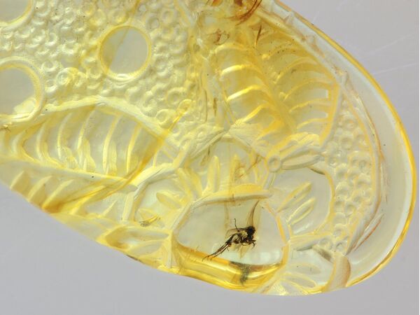 Disptera Insect in Carved Amulet Baltic amber fossil pendant