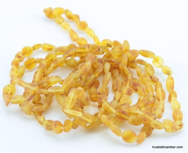 10 Honey Raw BEANS Baltic amber adult bracelets