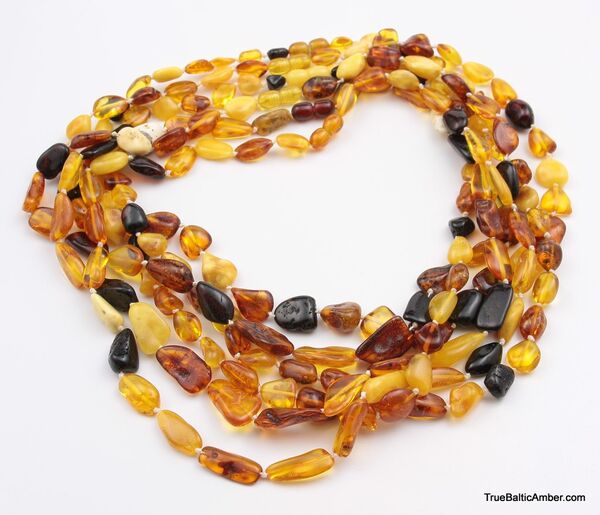 6 Multi Large BEANS Baltic amber adult wholesale necklaces