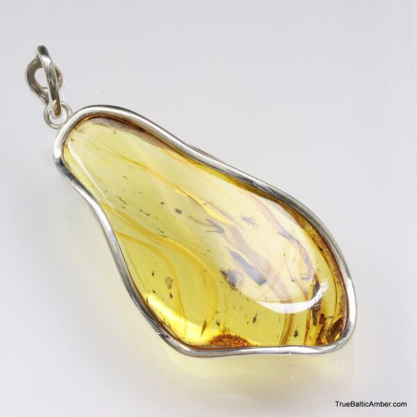 Large amulet Baltic amber silver pendant with insect inclusion 20g