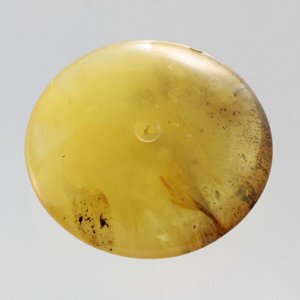 Large Donut shape Baltic amber pendant medallion