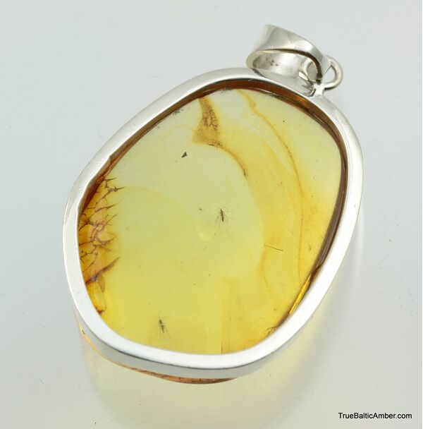 Large amulet Baltic amber silver pendant w insect inclusion 13g