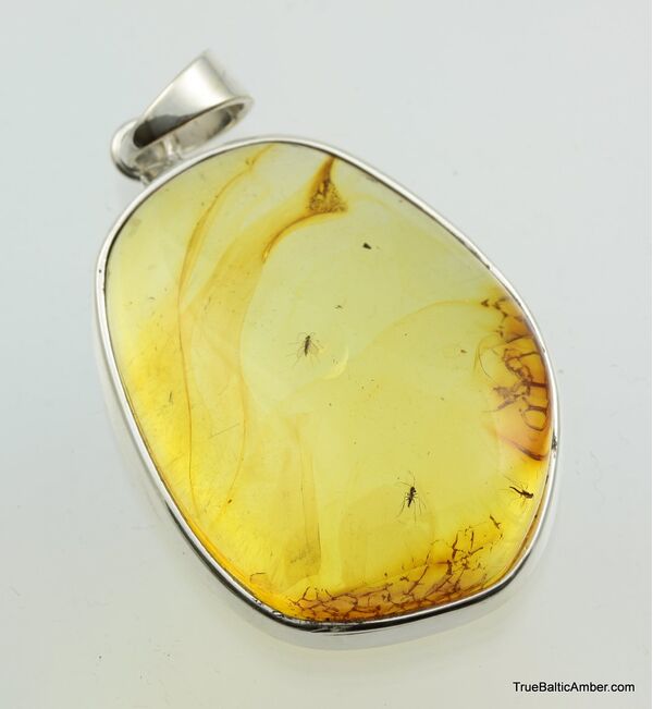 Large amulet Baltic amber silver pendant w insect inclusion 13g