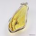 Large amulet Baltic amber silver pendant with insect inclusion 20g