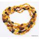 5 Multi Large BEANS Baltic amber adult wholesale necklaces