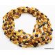 10 Multi BEANS Baltic amber adult wholesale necklaces 21in